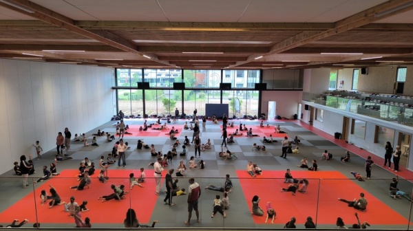 Grande journée pour le judo scolaire à Montech !